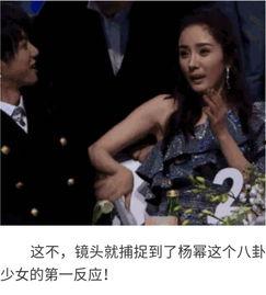 明星八卦吃瓜博主视频大全,明星八卦吃瓜博主视频大盘点