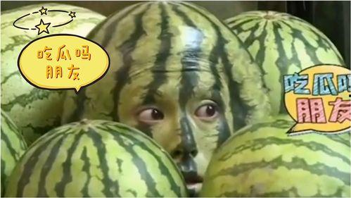 吃瓜比赛全部视频大全免费观看,免费观看全集，一网打尽瓜界风云