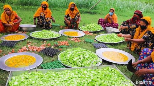 可以给鸡吃蛇瓜吗视频,新型鸡饲料的奥秘