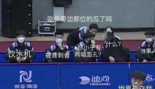 乒乓队集体吃瓜视频完整版,欢乐瞬间尽收眼底！
