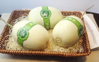 吃白玉瓜视频教程大全集,视频教程大全集精华汇总