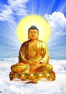 佛祖保佑吃瓜视频大全,吃瓜视频大全精选回顾