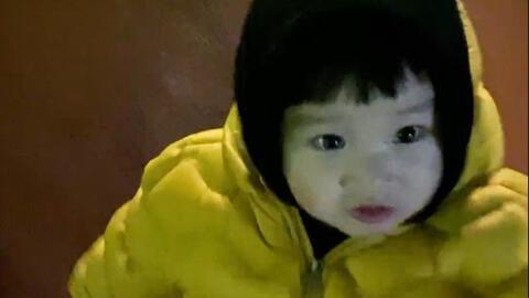 秃崽吃瓜视频在线观看,带你领略网络热点的趣味瞬间