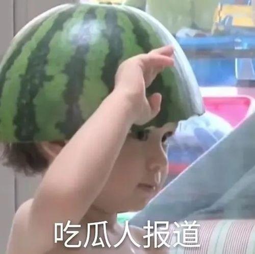 带你吃瓜沙雕音乐视频,笑翻全场！沙雕音乐视频大揭秘