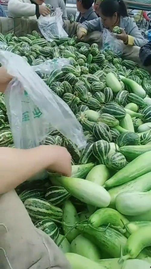 安徽大叔吃腌瓜视频,传统美食新演绎